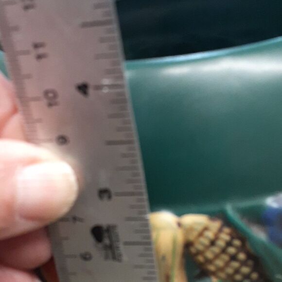 Vintage Claire Burke bowl & Kay Dee Harvest print bundle - Picture 12 of 12